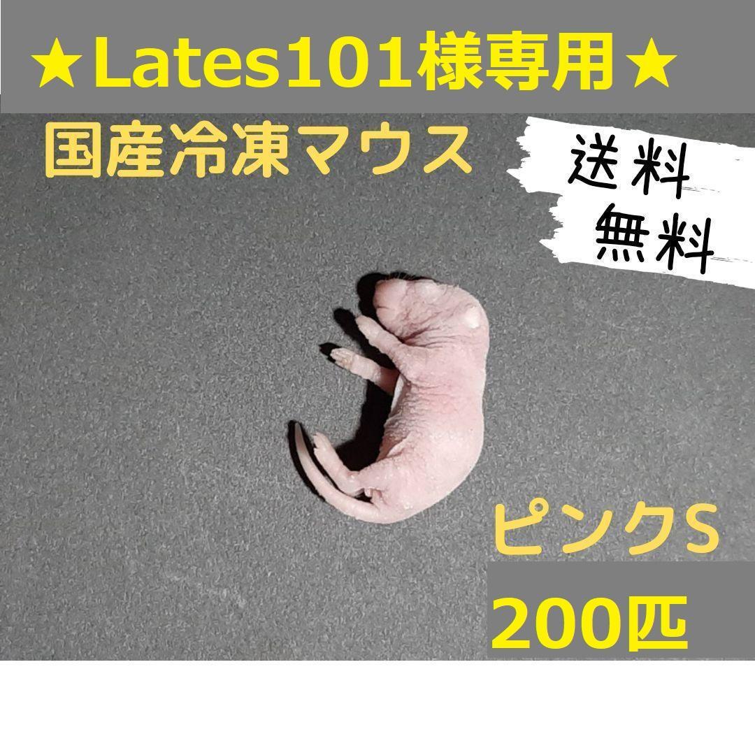 ★Lates101★国産冷凍マウス ピンクS 200匹