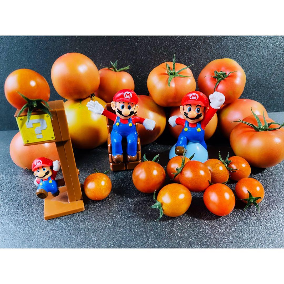 Mayu　L（2）B（1）12/19