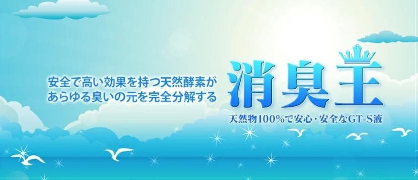 消臭王GT-S 液体・無臭 ５リットル これぞ本物 あらゆる悪臭を完全分解