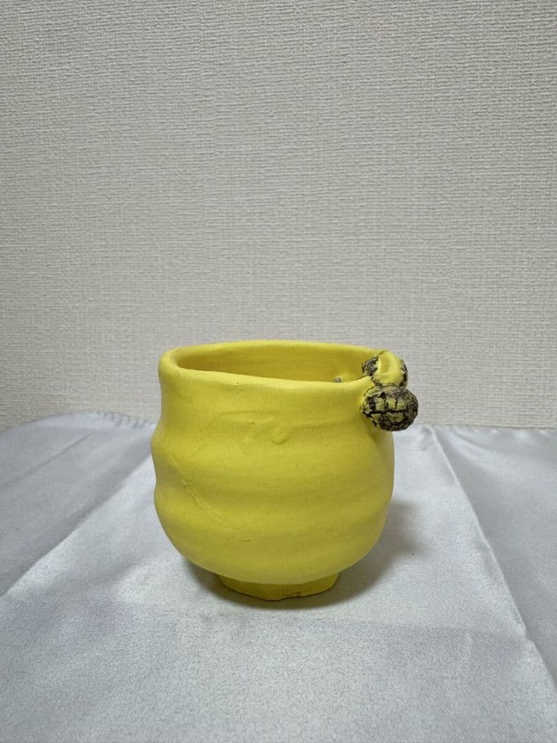 桑田卓郎 ぐい呑