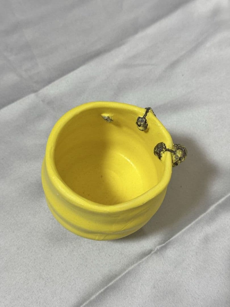 桑田卓郎 ぐい呑