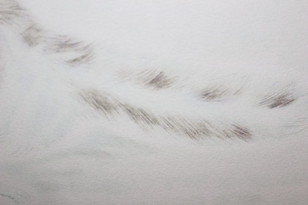 藤田嗣治 エスタンプリトグラフ 猫十態より「うずくまる猫」 190/250