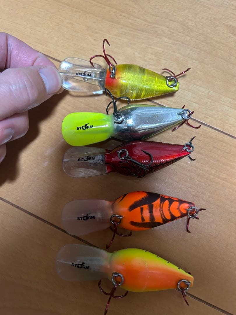 ストーム ウイグルワート