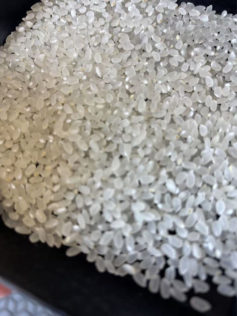 国産米「まっしぐら 」青森県産 甘い　もっちり　大粒　安心　安全