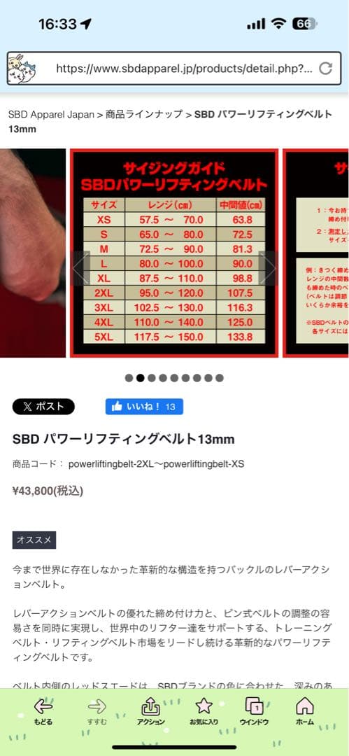 SBD トレーニング・パワーベルト 黒Mサイズ