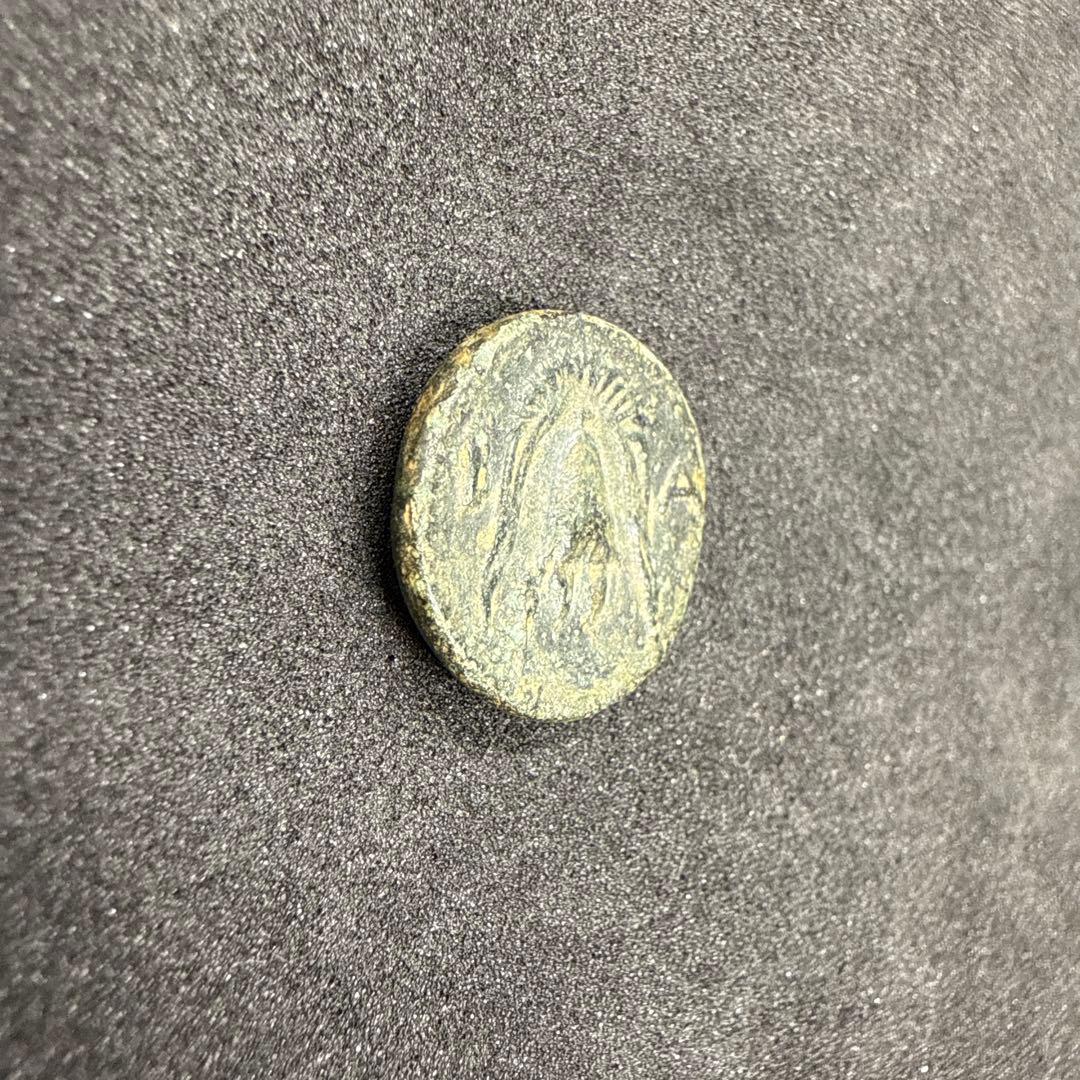 【希少】 キプロス島 サラミス 紀元前331年 青銅硬貨 古代