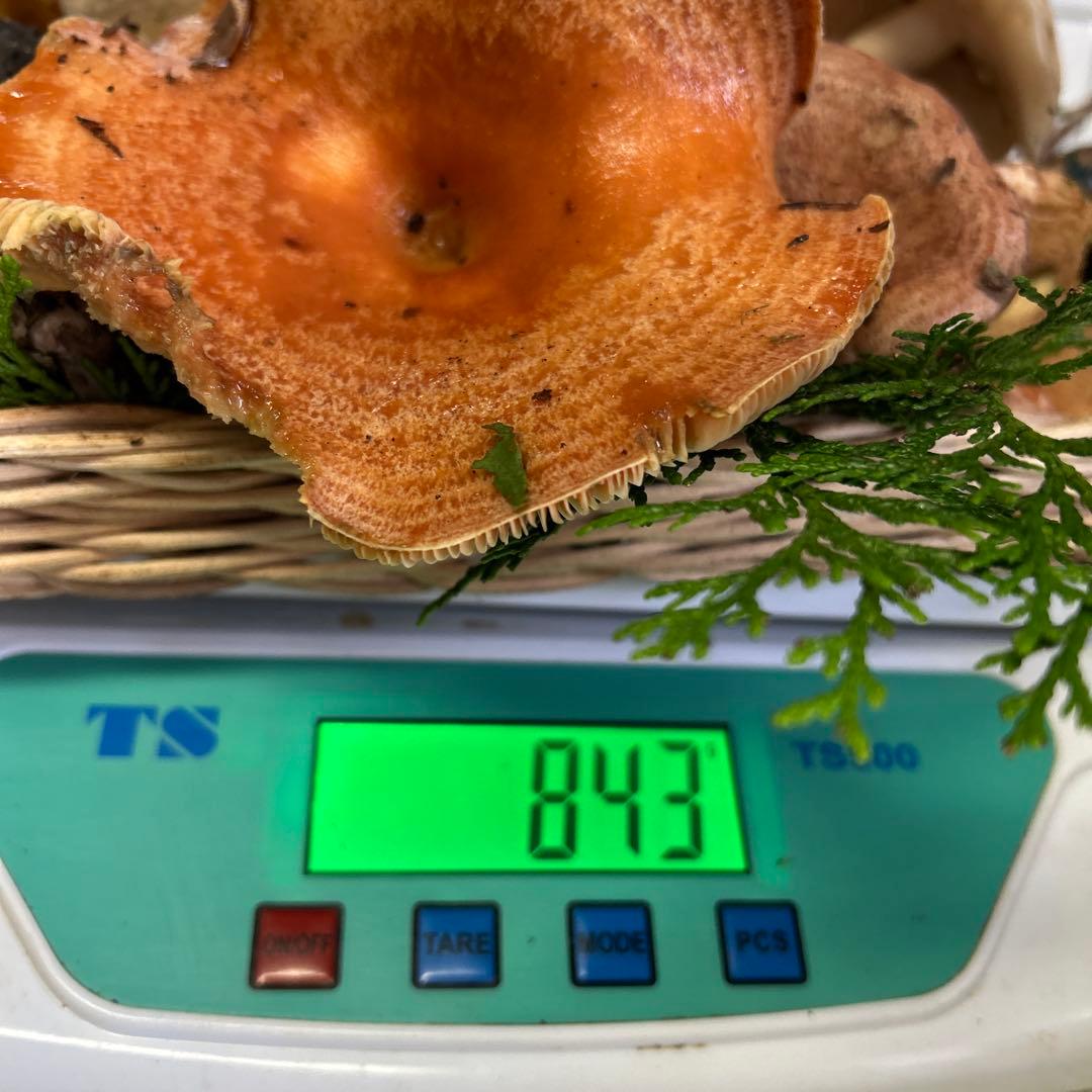 すずちゃん。天然きのこセット