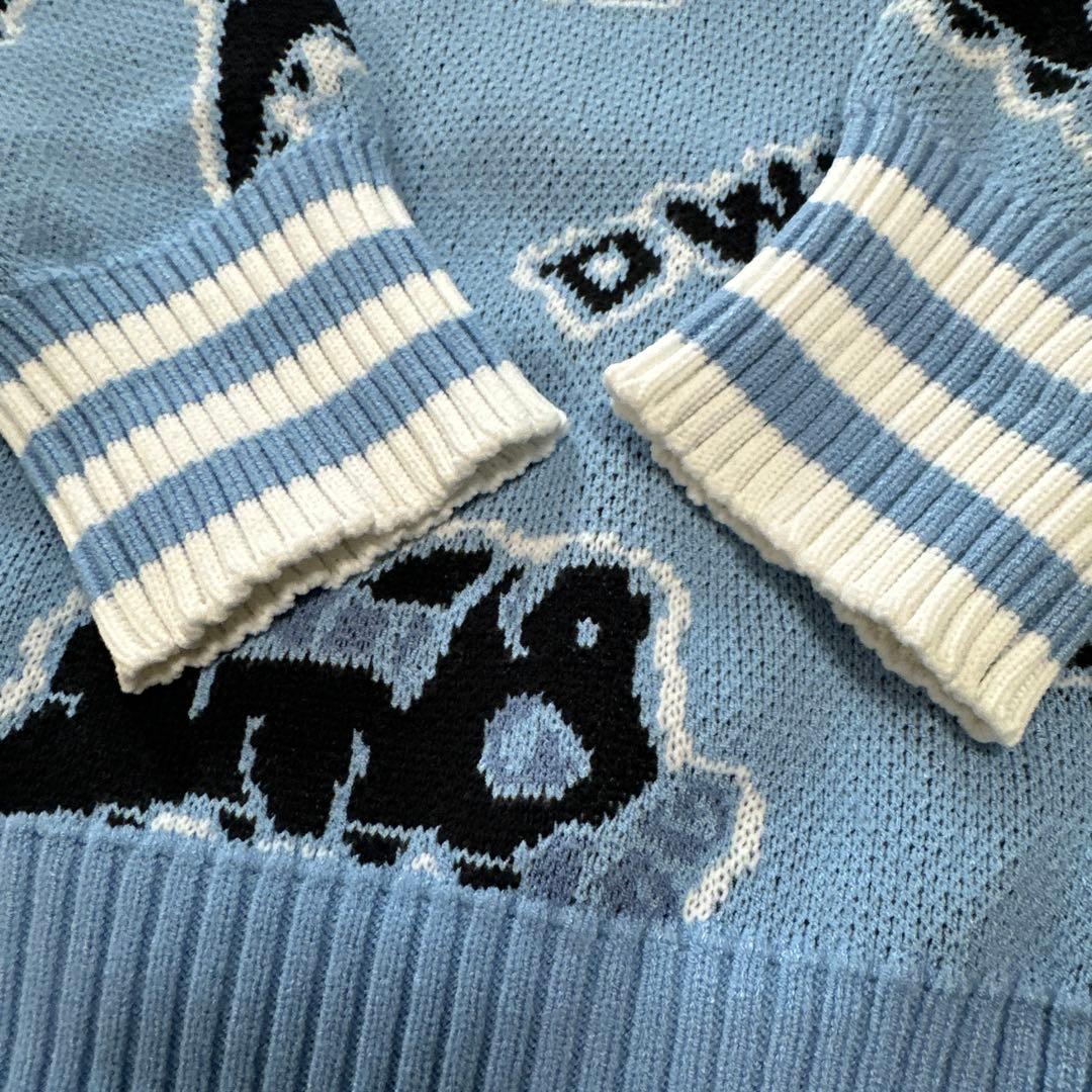 ダンスウィズドラゴン☆DANCEwithDragonチビドラセーター