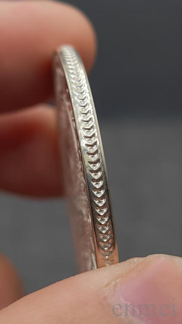 中国古銭・江南省造・光緒元寶・龍幣・紀念幣・渡来銭・大型銀貨・硬貨・純銀