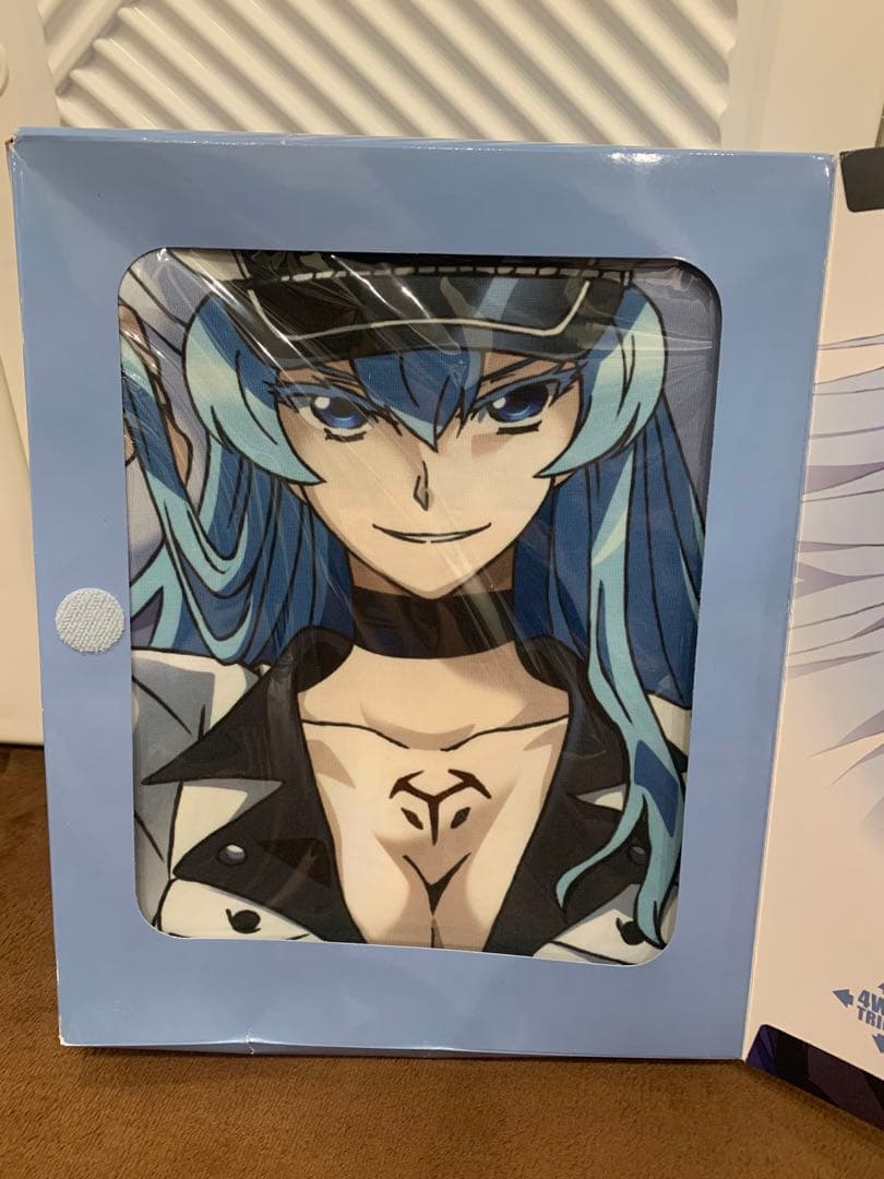 【未使用】 アカメが斬る！ エスデス 抱き枕 カバー 限定イラスト 蓋付き