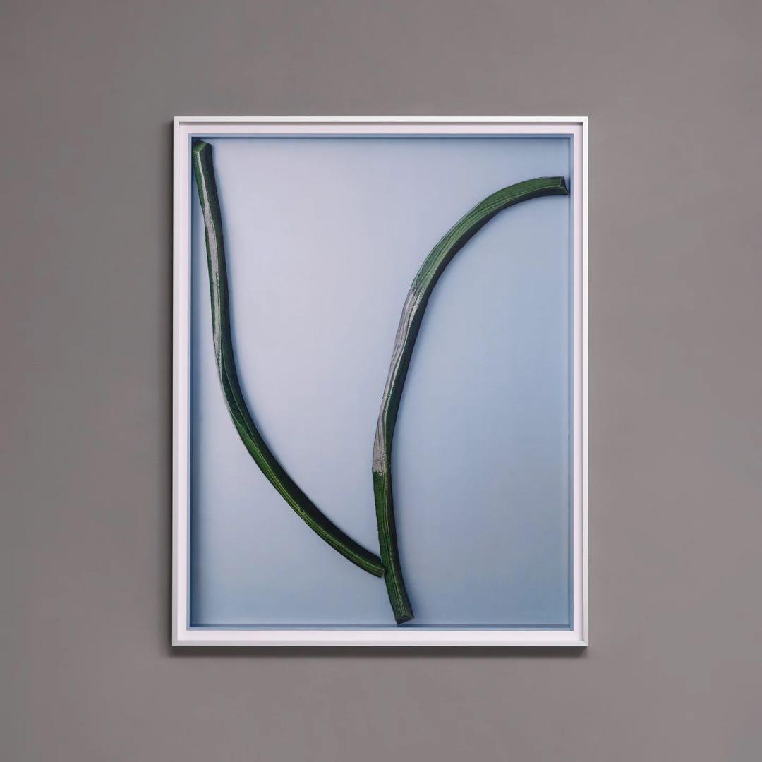 Ronan Bouroullec Bas Relief 7 国内未入荷ポスター