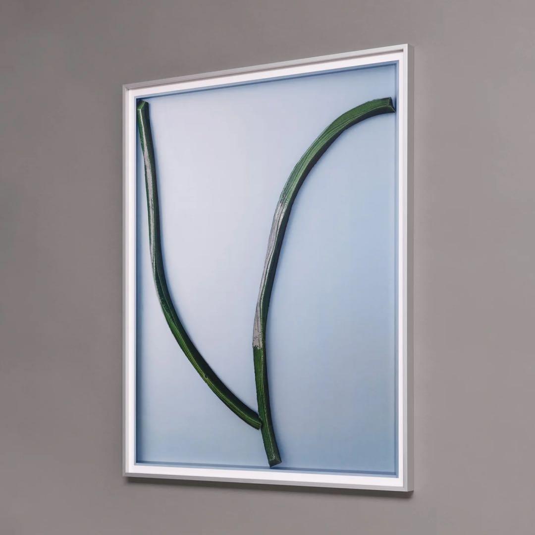 Ronan Bouroullec Bas Relief 7 国内未入荷ポスター