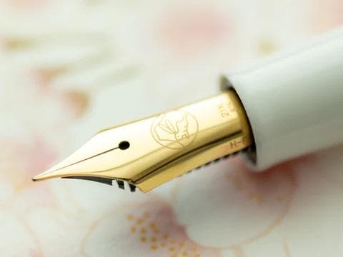 絶版品 入手困難 セーラー万年筆 レアロ 吸入式 EF ゆきのしたで 極細字