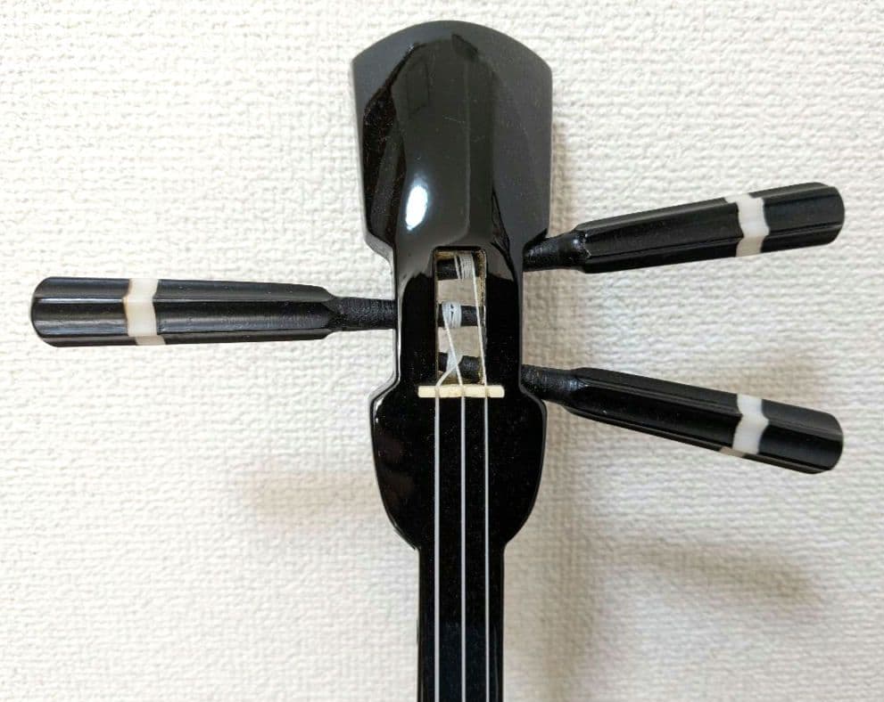 【送料無料】沖縄三線 ヘビ柄 3弦 ケース、付属品、テキスト2冊付き