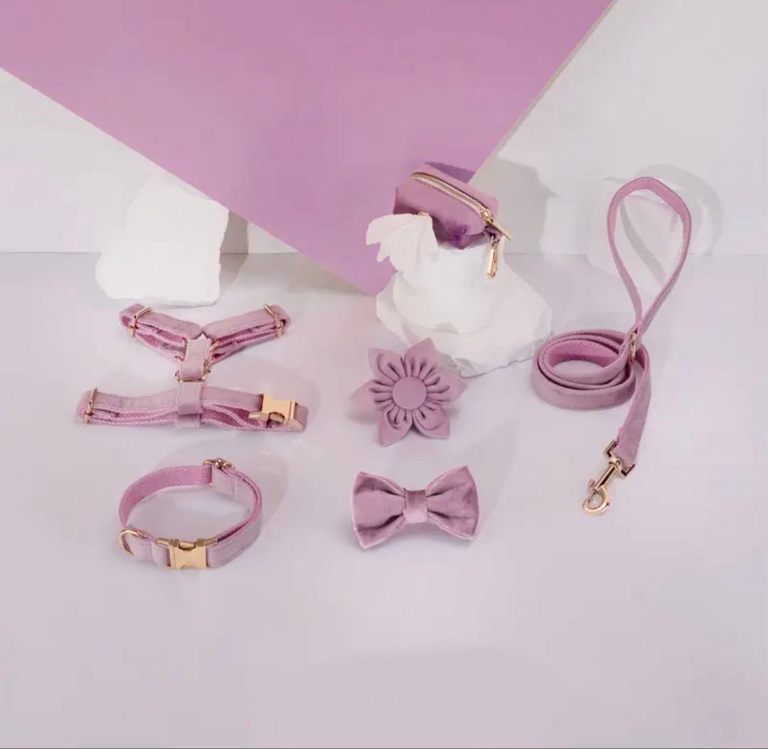 オーダー 名前 首輪 ハーネス リード ベルベット パープル ターコイズ