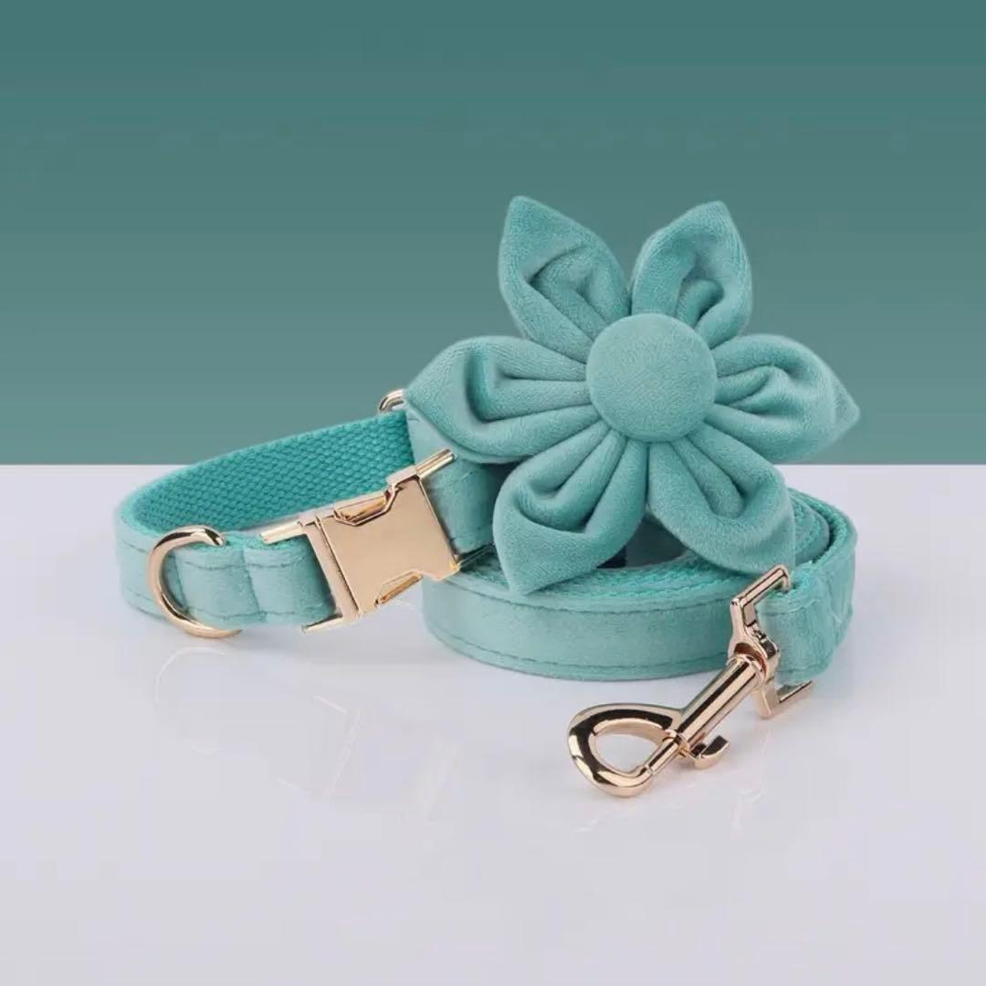 オーダー 名前 首輪 ハーネス リード ベルベット パープル ターコイズ