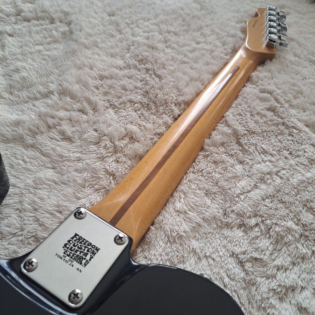 Fenderメキシコ2020年製 PU Seymour Duncan x3