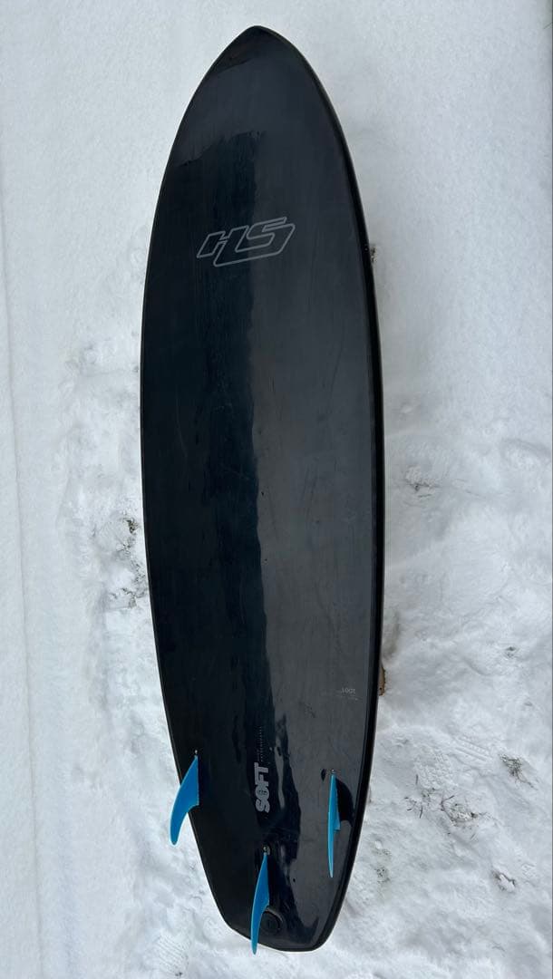 ヘイデンシェイプス HAYDEN SHAPES ソフトボード LOOT 7'0