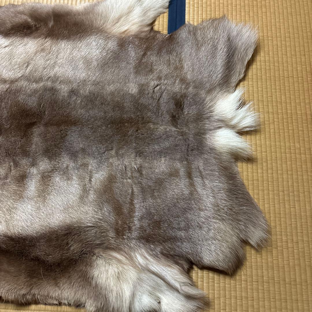 トナカイ毛皮　高級毛皮ラグ LARGE