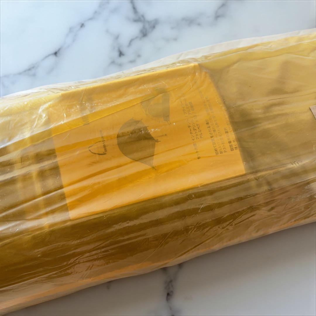 【現在底値】新品 定価8万 シエラデザインズ テント メテオライト2 2人用