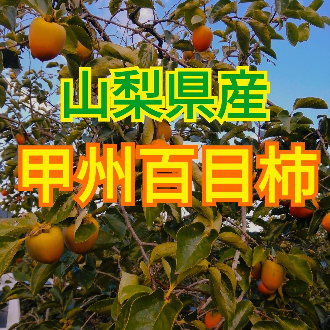 遊び爺様　山梨県産　干し柿・枯露柿用　渋柿　甲州百目柿　20kg