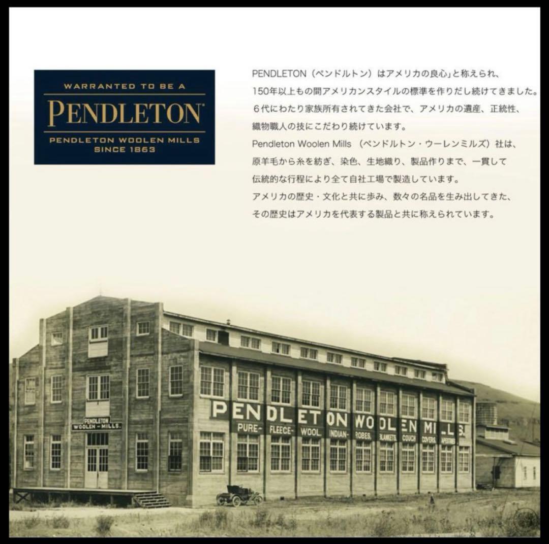 【限定】ペンドルトン×ヘリノックス チェアホーム ハーディングブラウンブラック