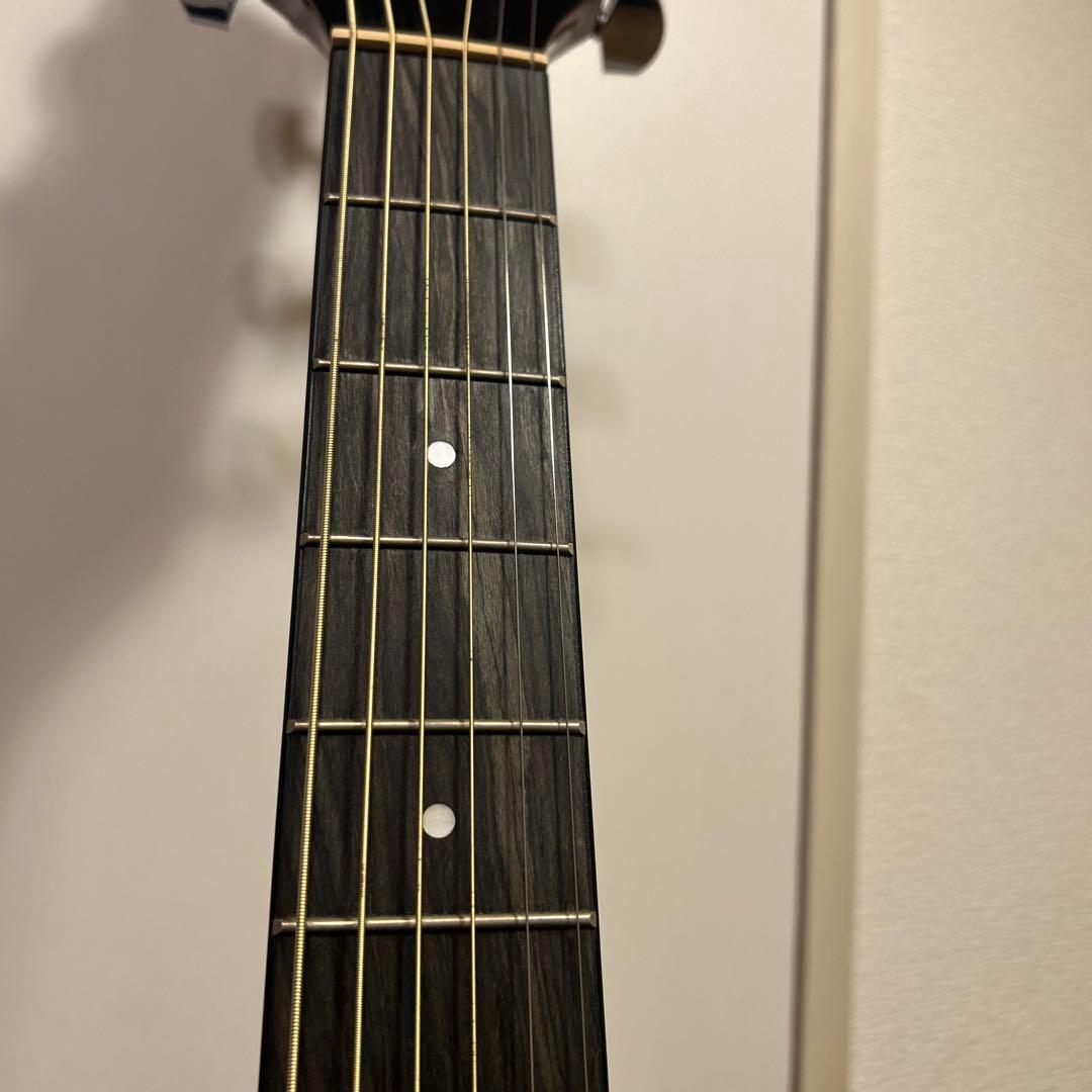 MorrisG-021 RBS 縦ロゴトップ単板フレイムマホガニー純正ギグバッグ