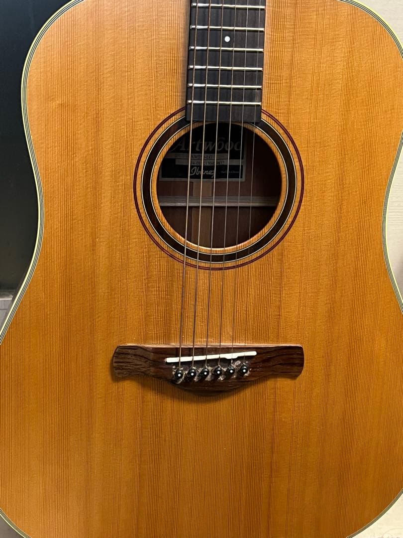 即発送 Ibanez Artwood AW250-LG