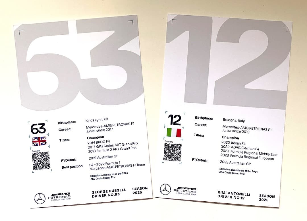 2025年ルイス・ハミルトン・ドライバーズカード&メルセデス・ドライバーズカード