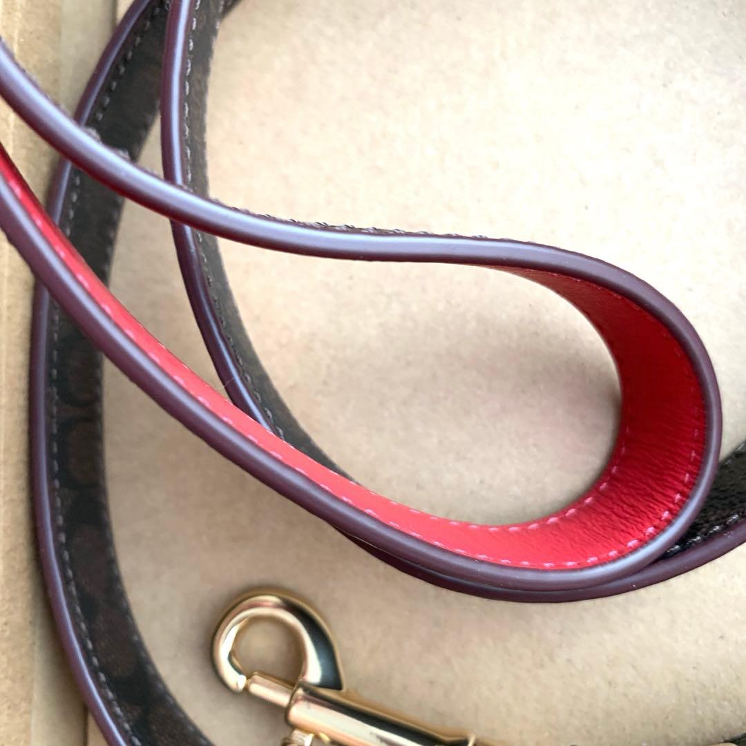 COACH コーチ　シグネチャー　赤　首輪　ドッグ　リード 小型犬　犬　ペット