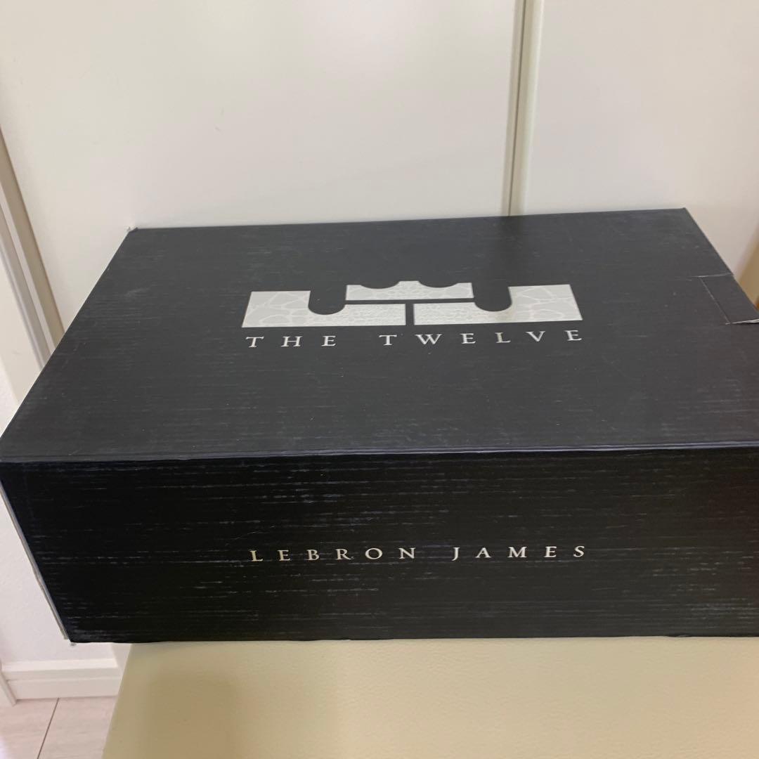NIKE The twelve スニーカー　レブロン　27.5 箱あり