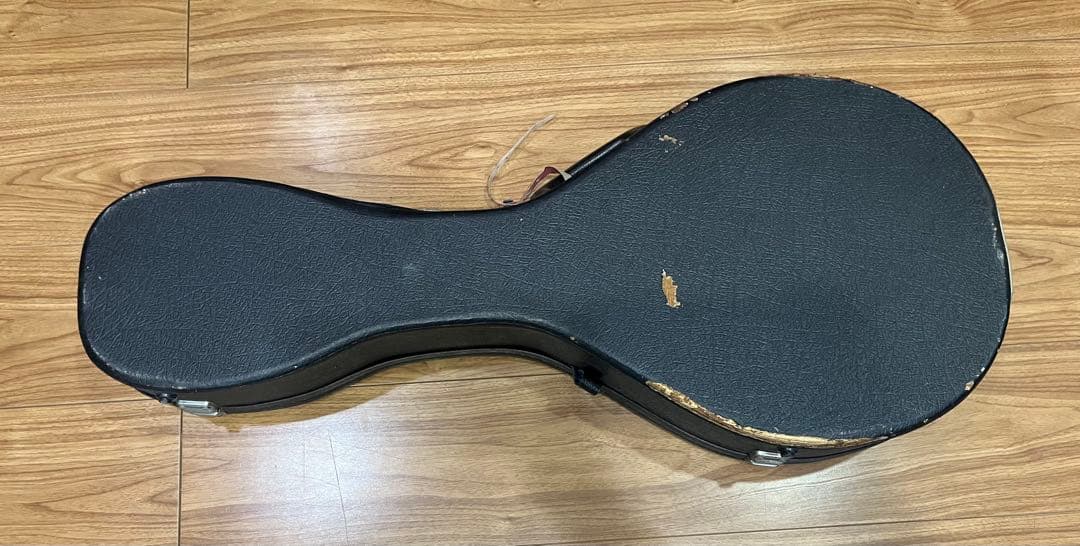 kentucky マンドリン　サンイン入り　日本製