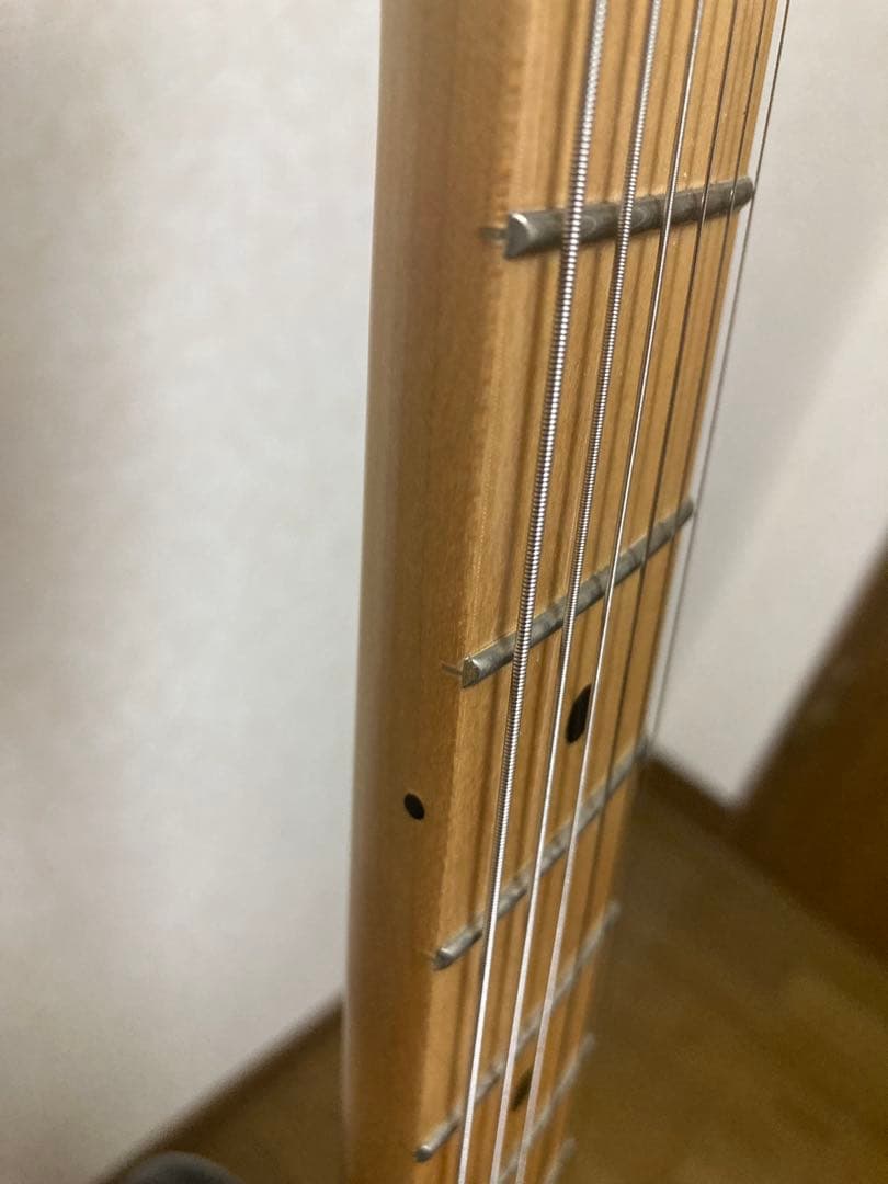 Fender Player Duo Sonic 2019年MEXICO製