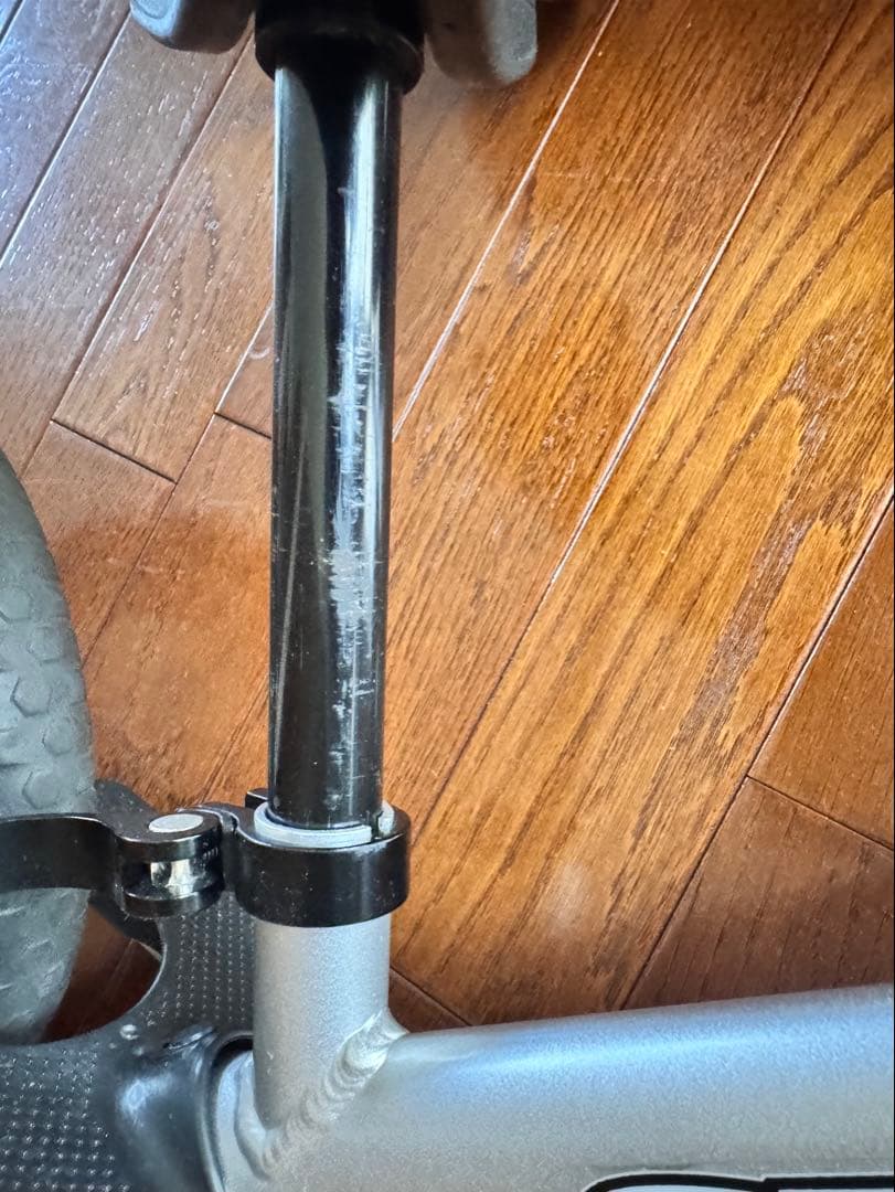 STRIDER pro ナンバープレート付き