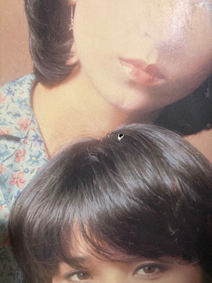 キャンディーズ　木製パネル