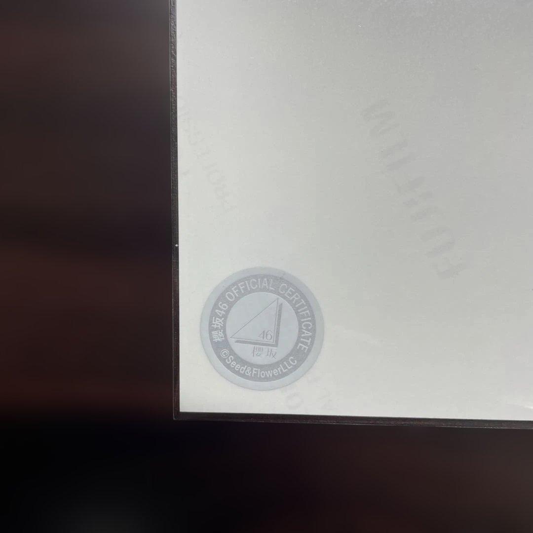 【値下げ可】櫻坂46 山下瞳月　2025年サンタ衣装　ヒキ　直筆サイン入り生写真