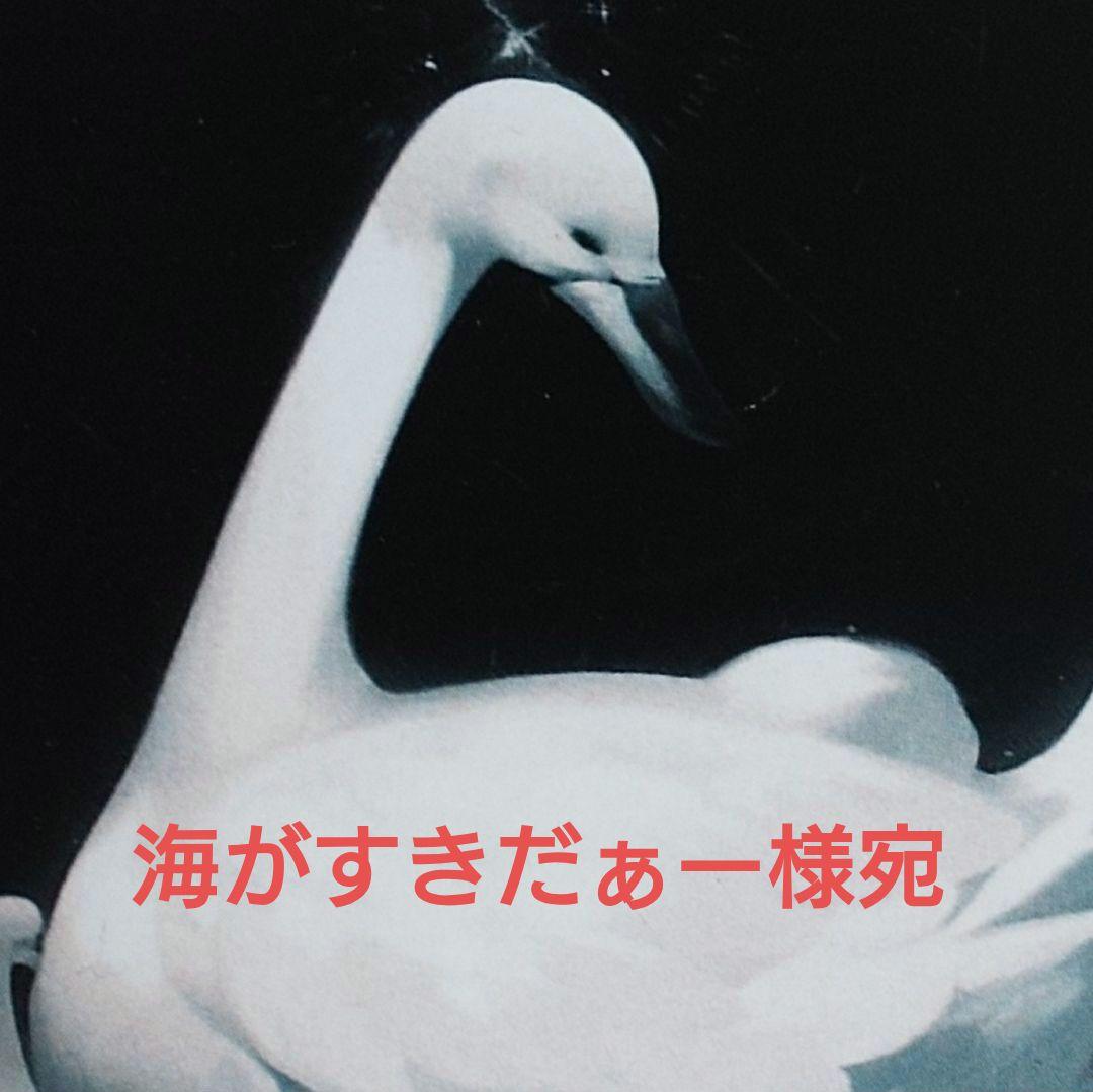 海がすきだぁー様宛出品