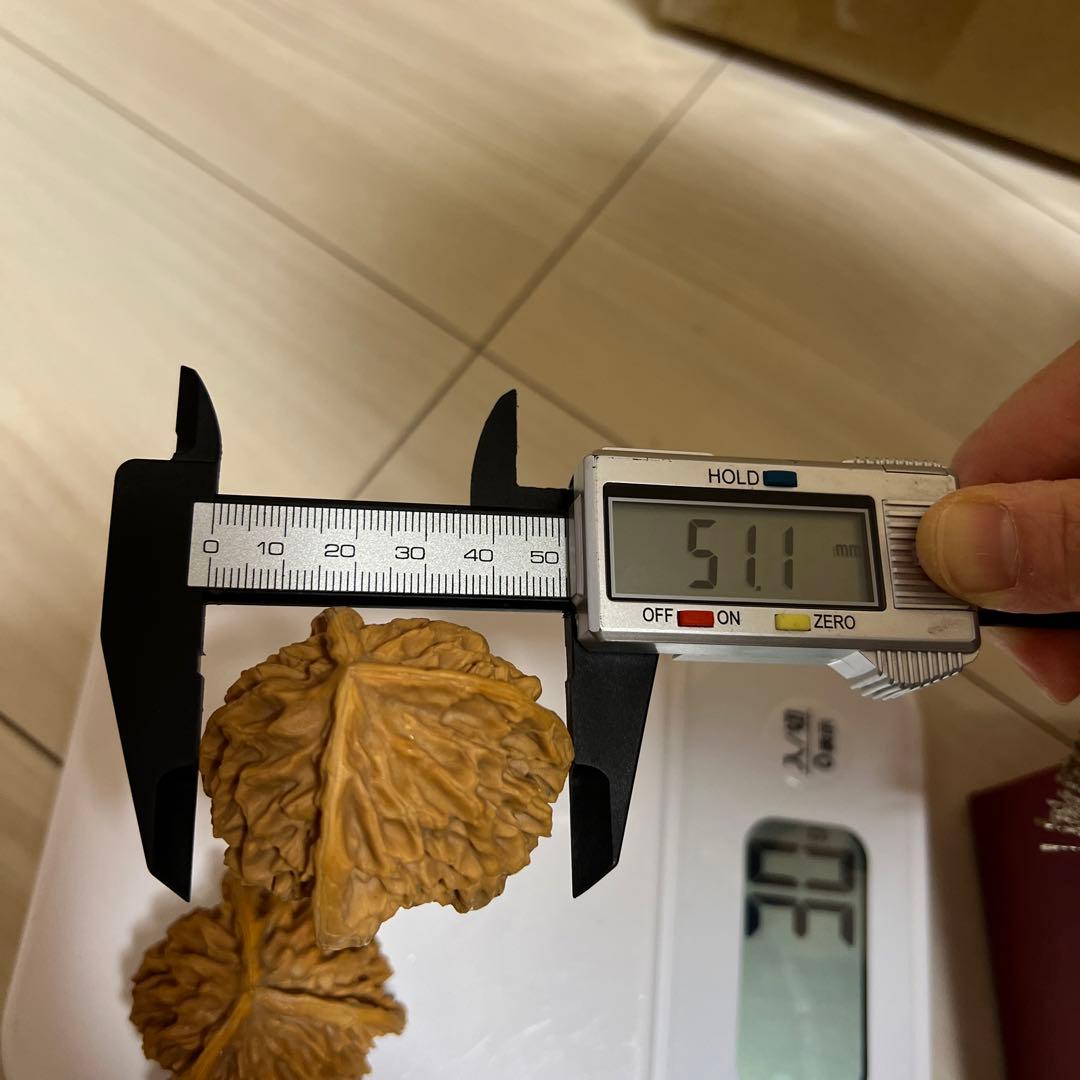 遊び胡桃 希少 帝王帽3ムキ コレクション 趣味