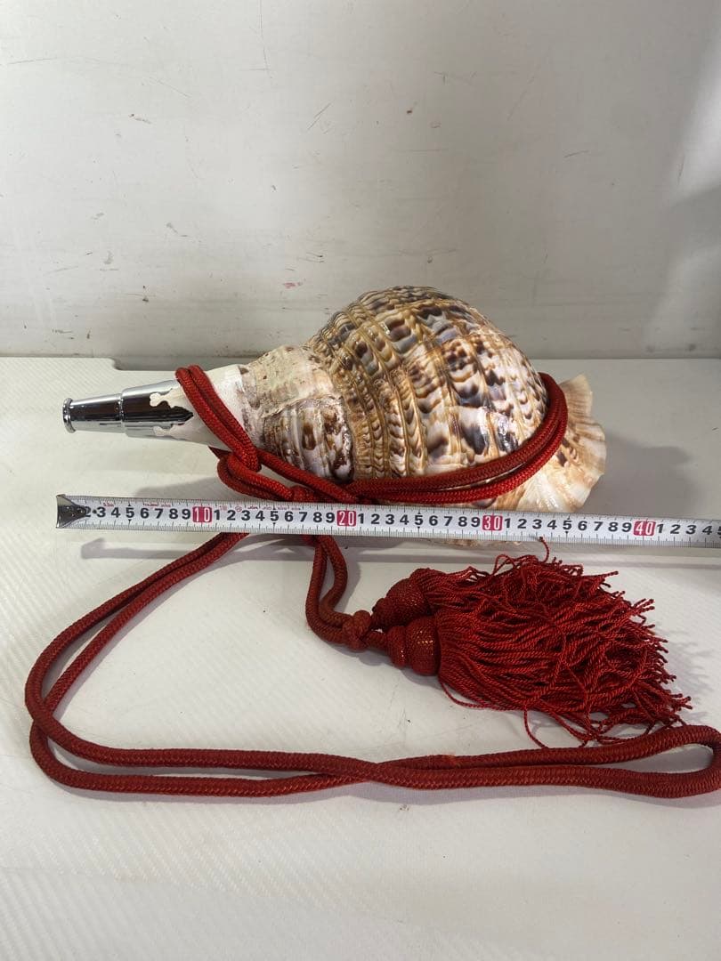 修験道法螺貝　赤紐付き　ほら貝　ホラガイ　袋付き　和楽器　熊よけ　特大