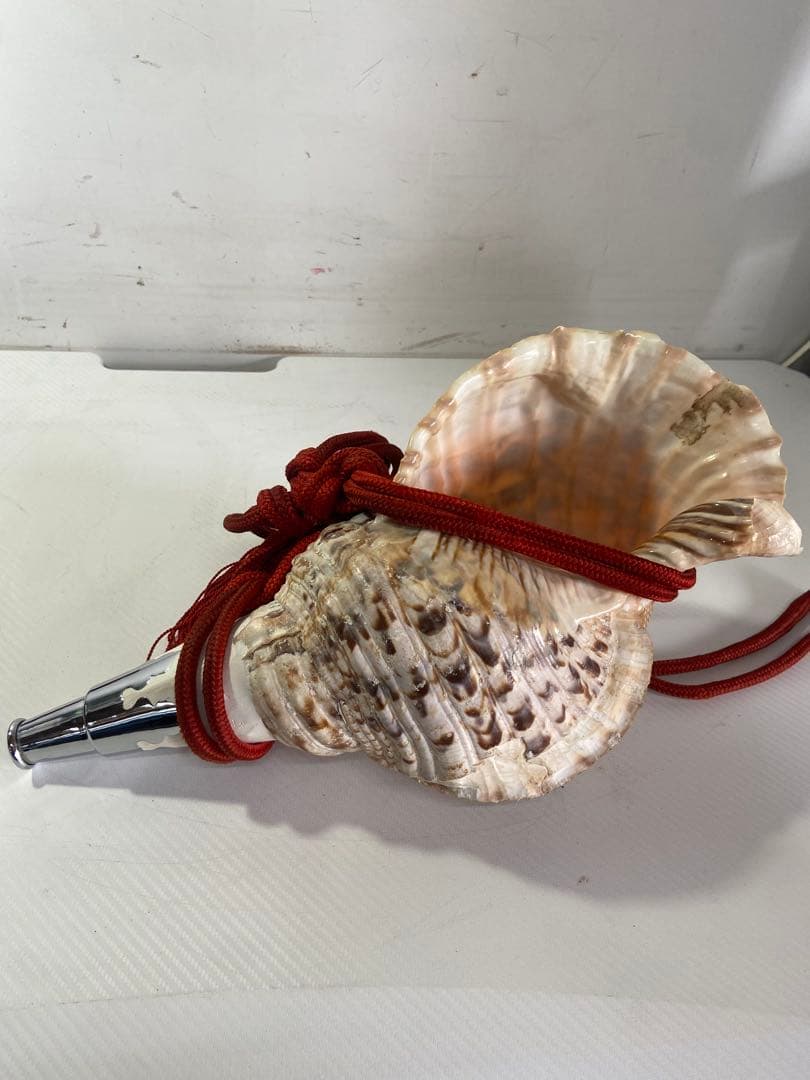 修験道法螺貝　赤紐付き　ほら貝　ホラガイ　袋付き　和楽器　熊よけ　特大