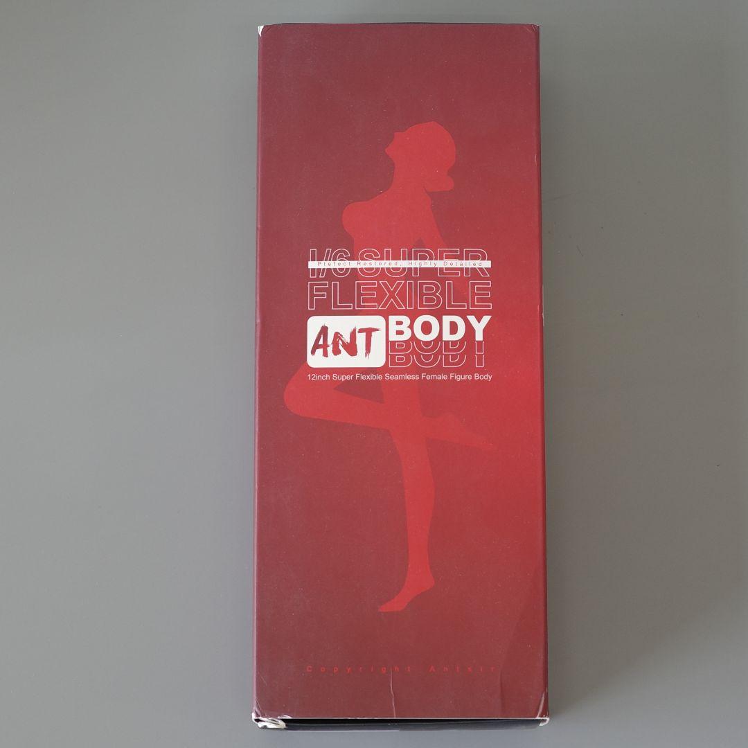 1/6 女性シームレスフィギュア メイド衣装セット ant pale