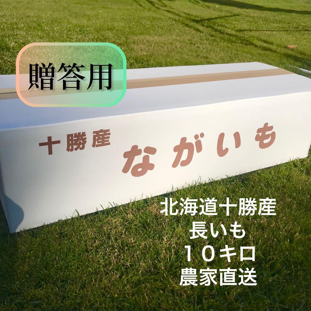 ひで様　贈答10キロと規格外10キロ