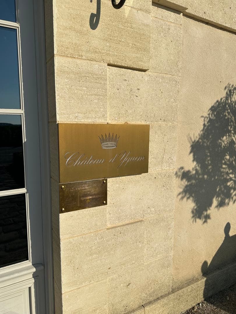 【激レア】シャトーディケム　ソーテルヌ No.7 N.V.