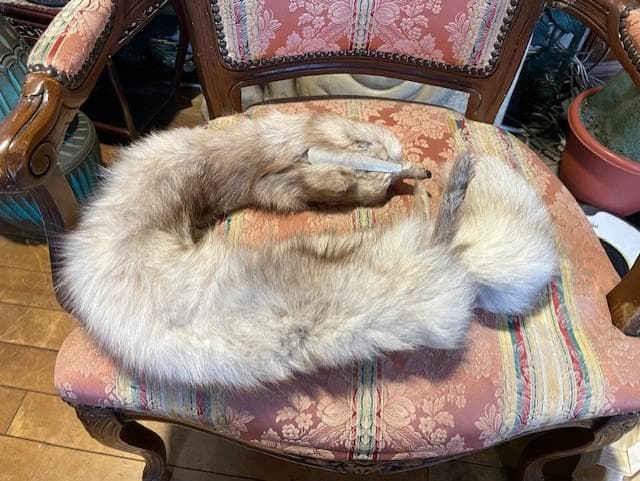 クリーム色のファーコート