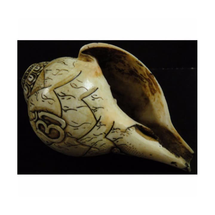 ◆チベット密教法具　法螺貝（シャンカ）シバ神