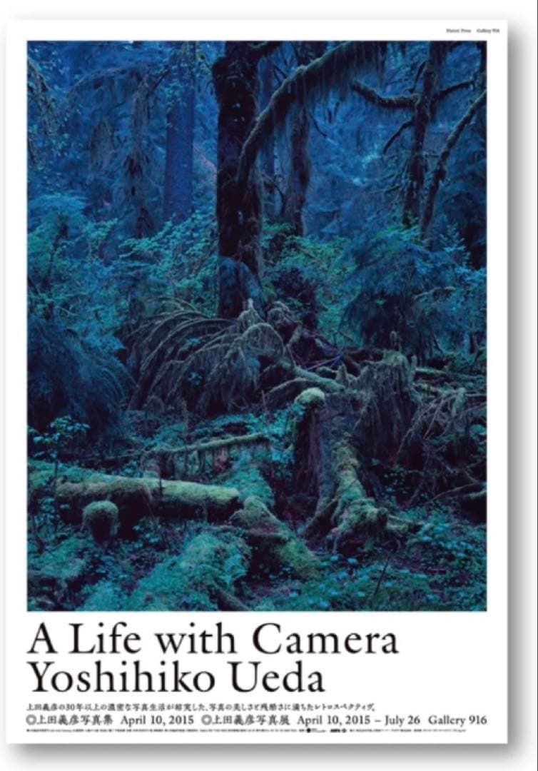 上田義彦 Life with Camera ポスター3点　アンディ・ウォーホル