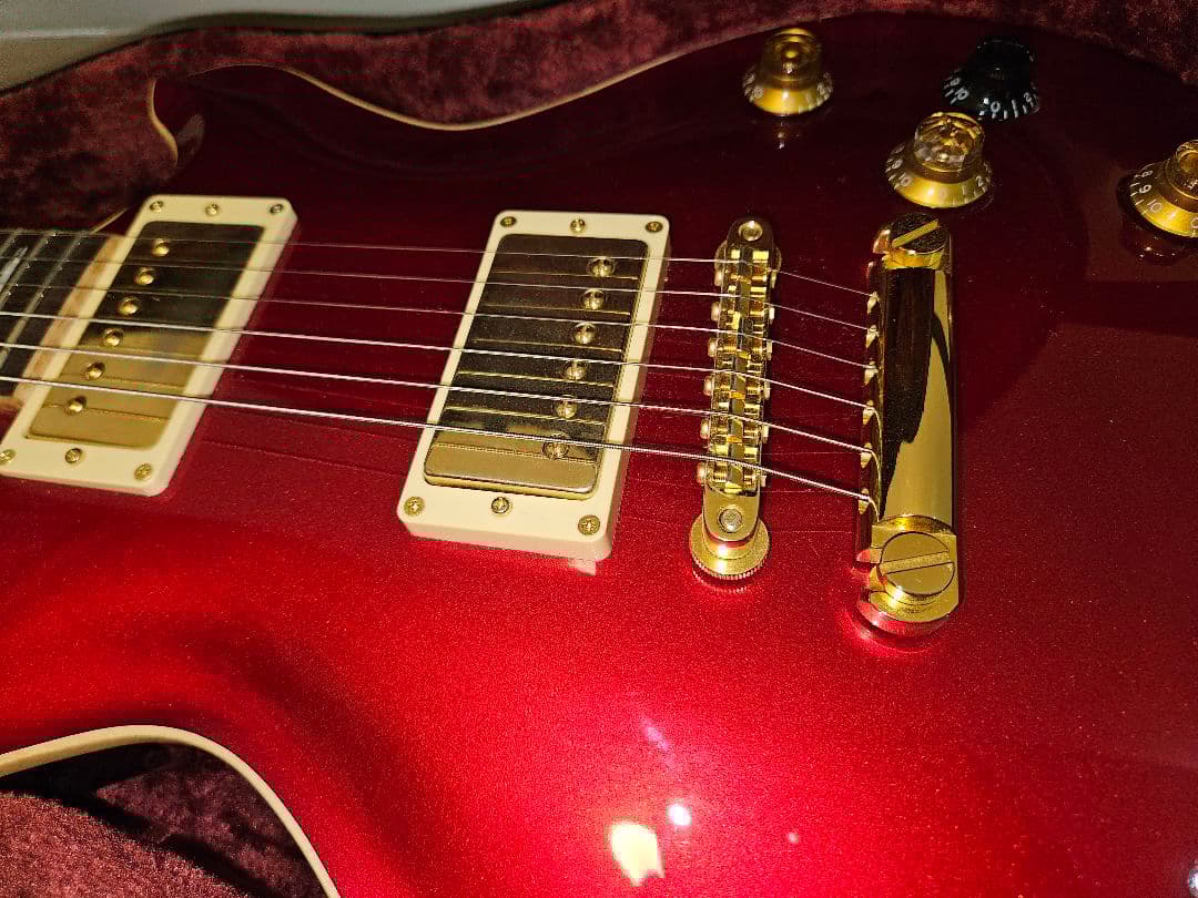 ギター FUJIGEN / Expert FLAME(EFL)