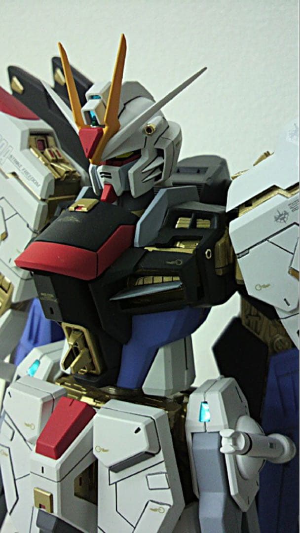 完全改修★ MG1/100 ZGMF-X20Aストライクフリーダム完成品