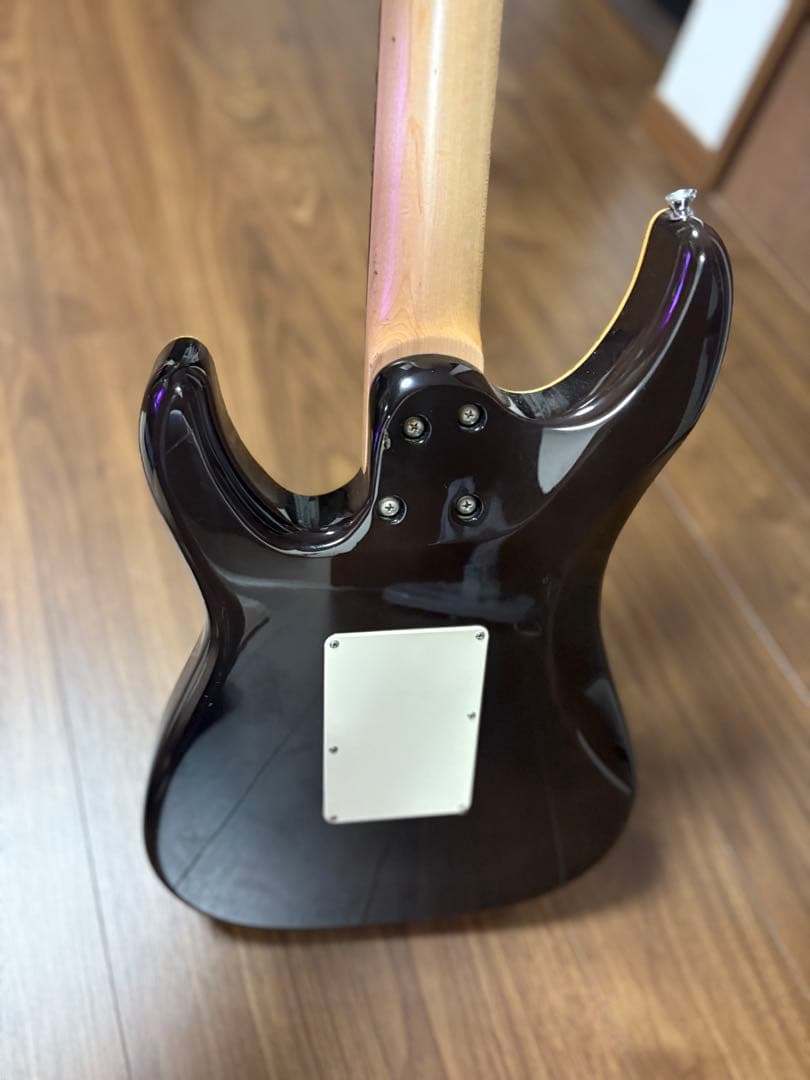 ギター Shecter sd-2-24-bw mod