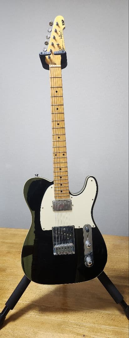 ギター ESP RON WOOD SIGNATURE Telecaster